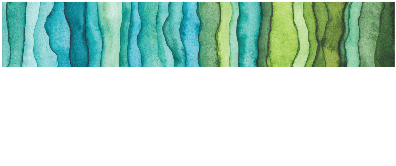 model logo
